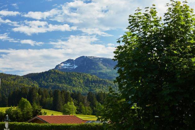 Villa Haus Almrose Reit im Winkl Exterior foto